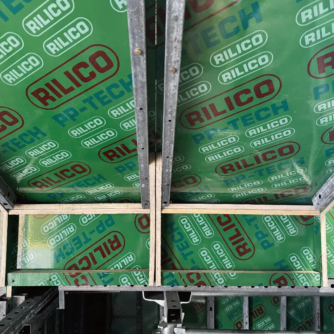 Rilico Exceptional Reusability and Corrosion Resistance Colourful PP Plastic Plywood