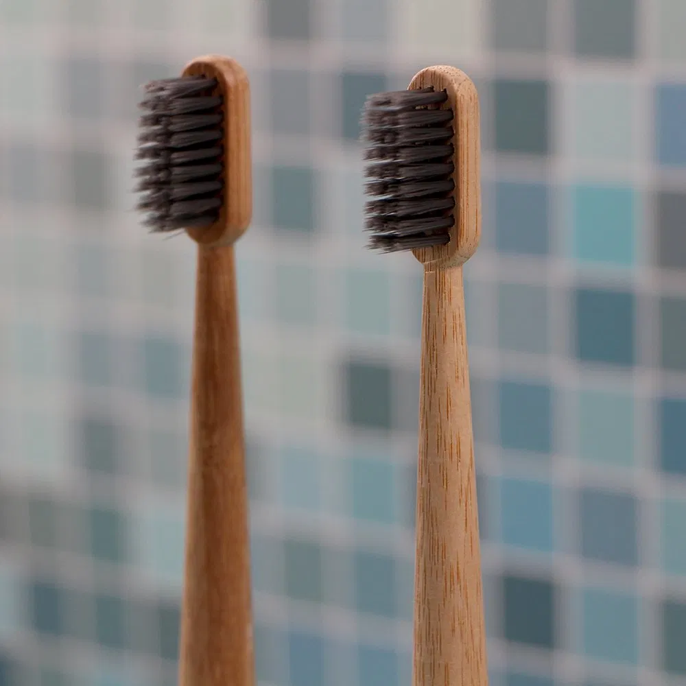 BPA Free Reusable Portable Bamboo Toothbrush Nylon DuPont Bristles