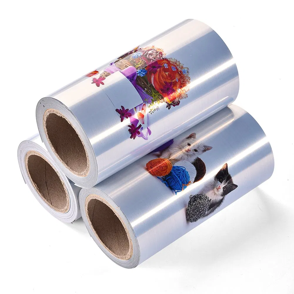 Custom Roll Adhesive Pet Brushed Metallized Silver Label Polyester Silver Sticker Label Jumbo Roll