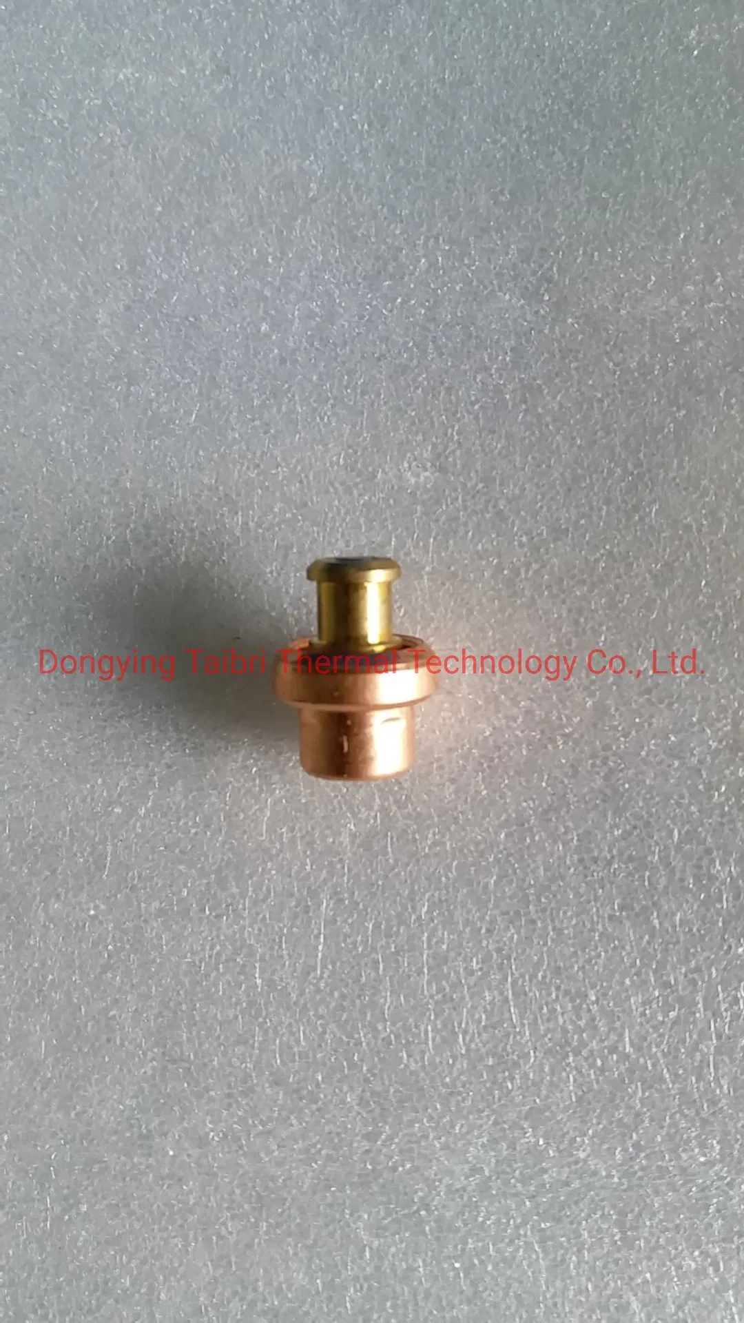 Thermal Electric Actuator Core Used in 220V /24V Waterproof Floor Heating Actuator radiator Thermostat Head