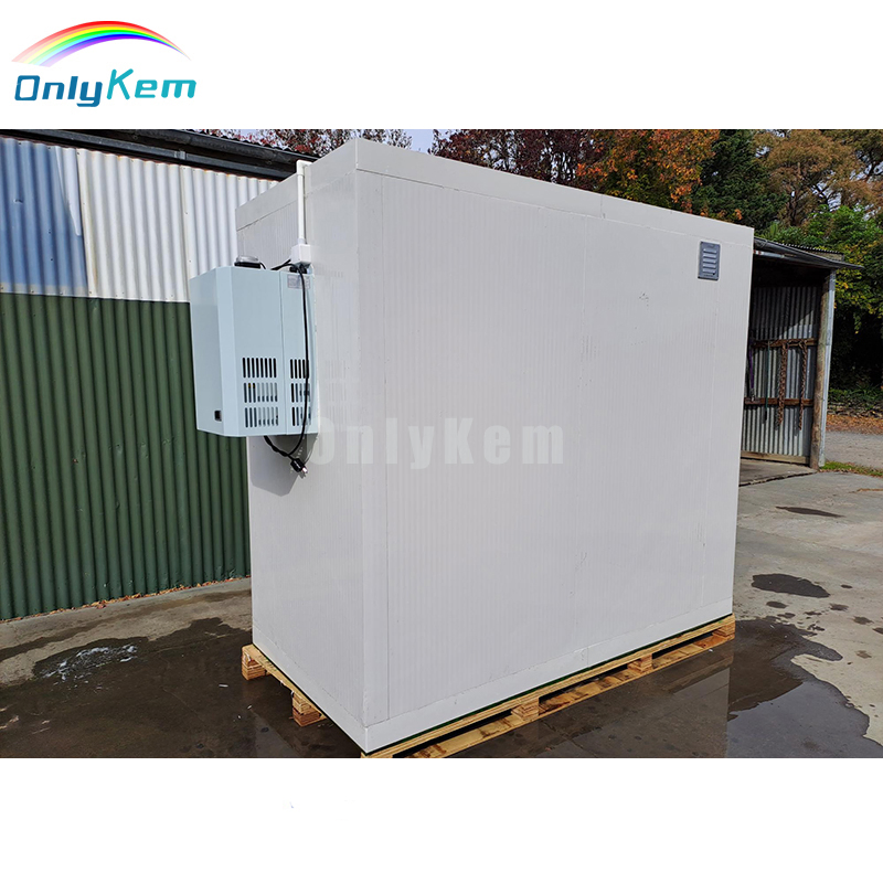 Cold Room Panel Cold Chamber Walk in Freezer for Meat