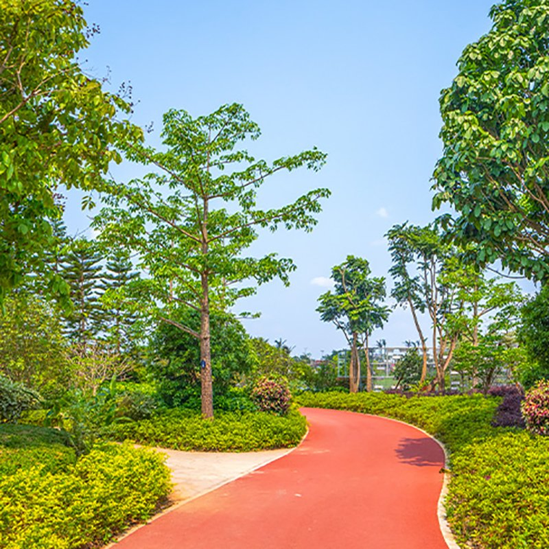 Jnz Plastic Garden Flower Fence Decorative Lawn Border for Outdoor Landscaping