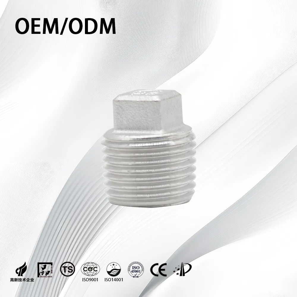 Stainless Steel/Carbon/Sanitary/Customize/Nipple Connector Threaded/Pipe Fittings/Plumbing/Tube/End Plug with Fitting Accessories