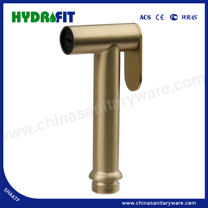Manufacture 304 Stainless Steel Bathroom Health Faucet Handheld Toliet Bidet Sparyer for Bidet