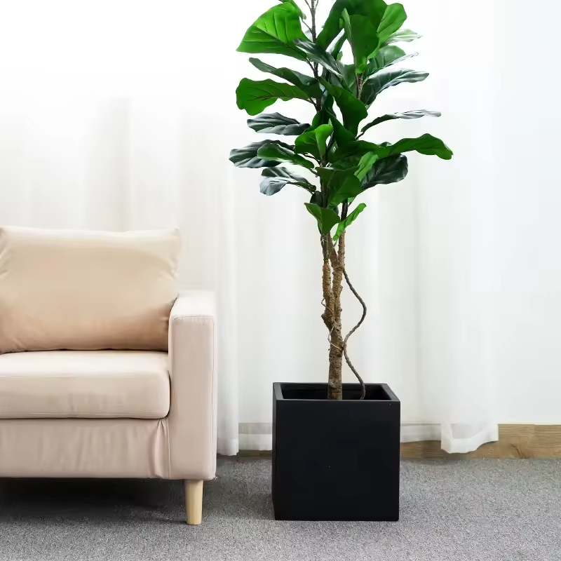 Large Contemporary Fiber Glass Outdoor Planter Box with Black Flower Pot