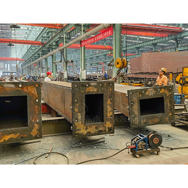 Customizable Steel Buildings for Large-Scale Industrial Park Projects