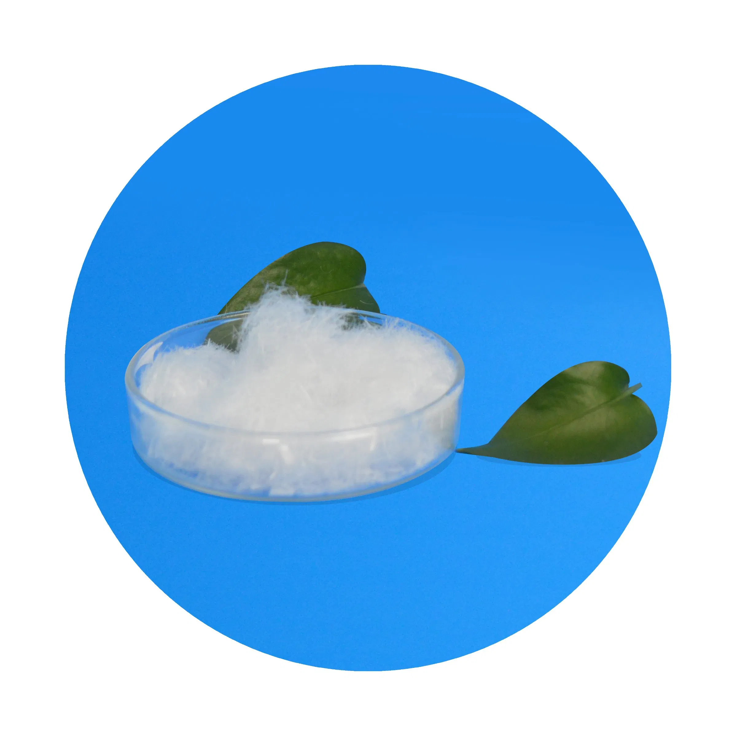 High Quality Plastic Granules Recycled PP Granule PP Plastic Material Granules