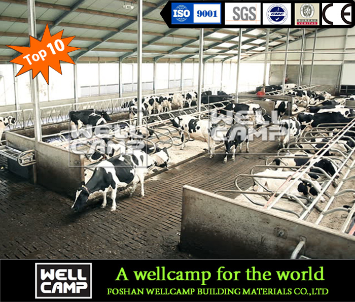 Customized Standard 6m High Light Steel Structure Cowshed