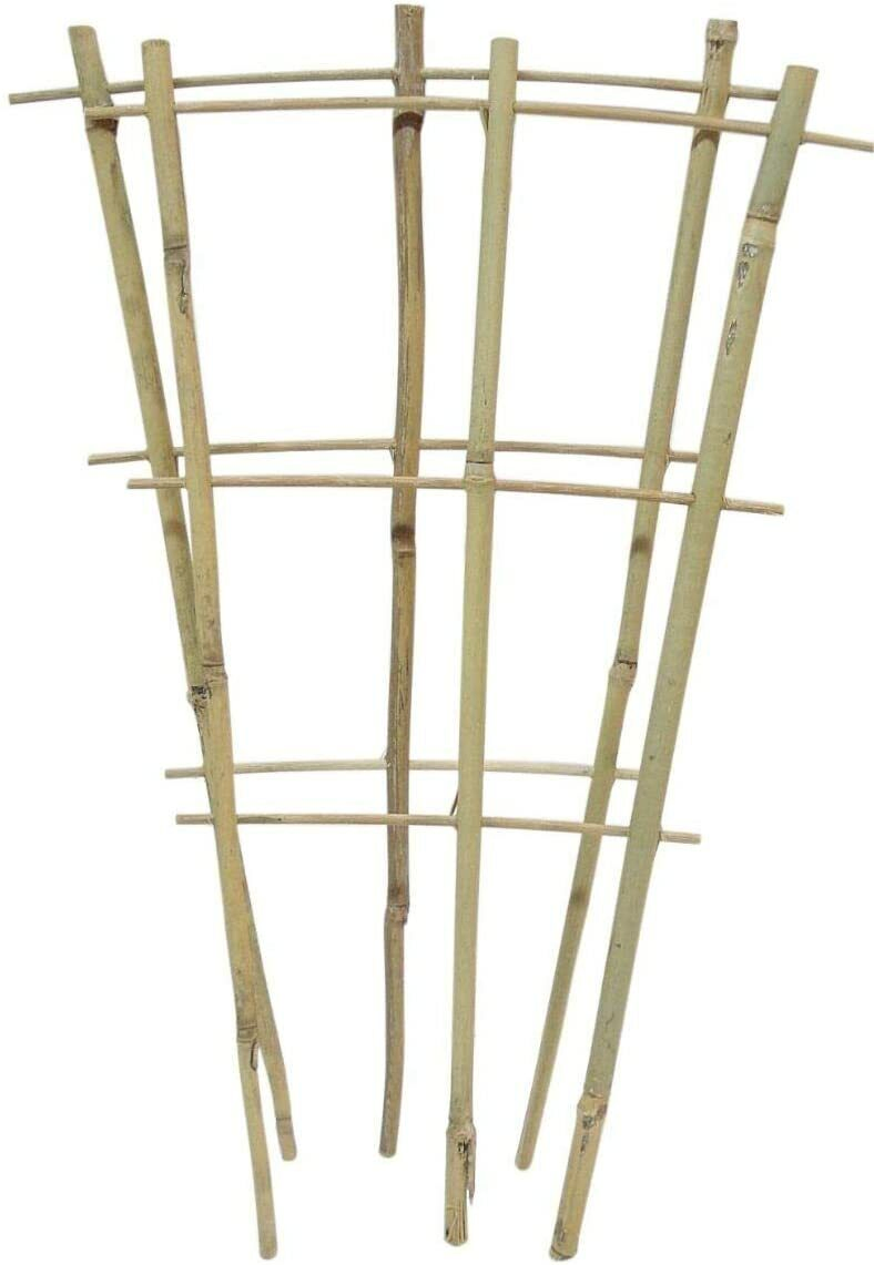 Bamboo Cane Plant Pot Trellis Fan Garden Flower Support Frame Stake Stick Pole