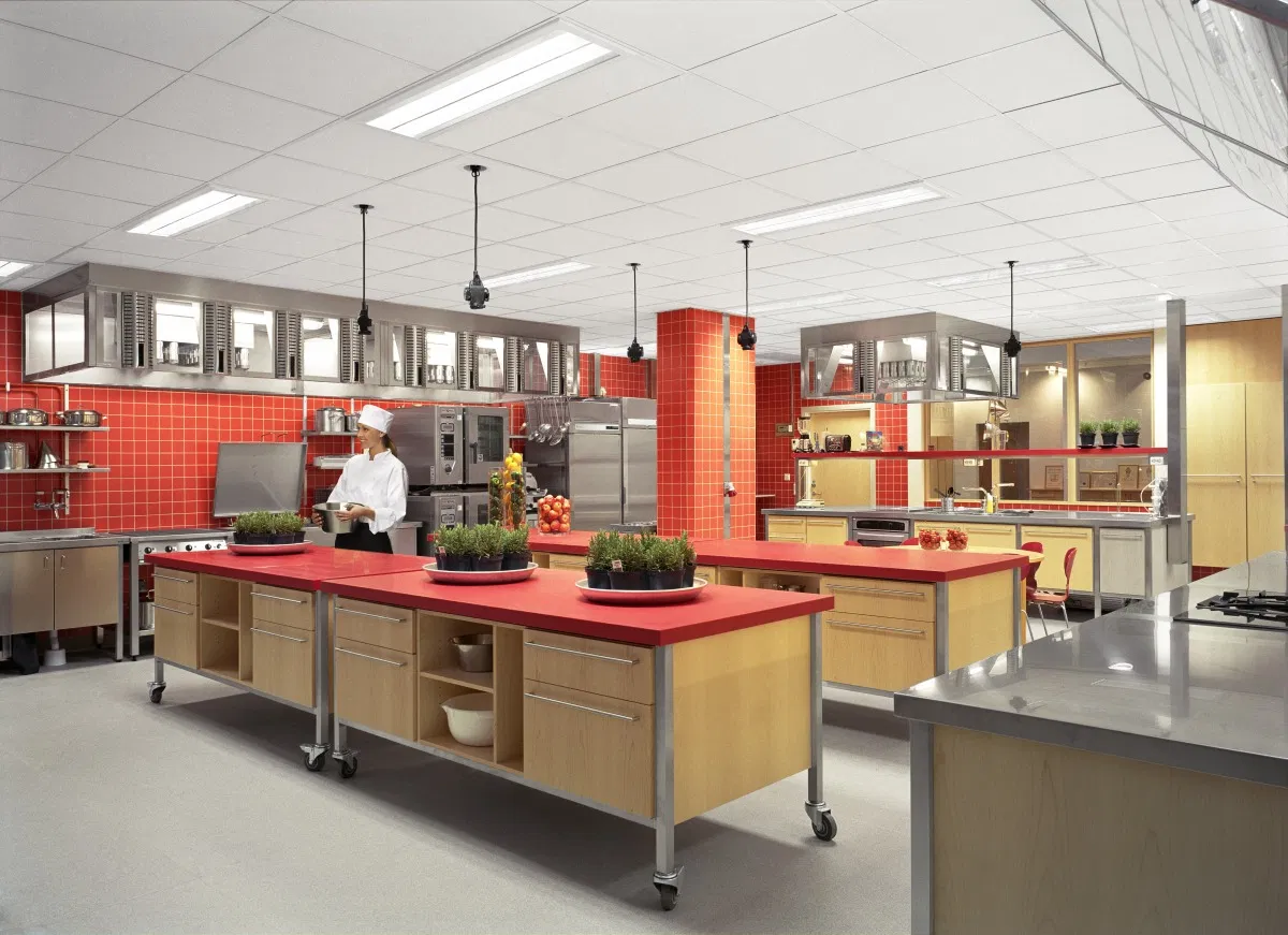 Openable Ceiling Tiles Acoustic Panel for Fiberglass Ceiling