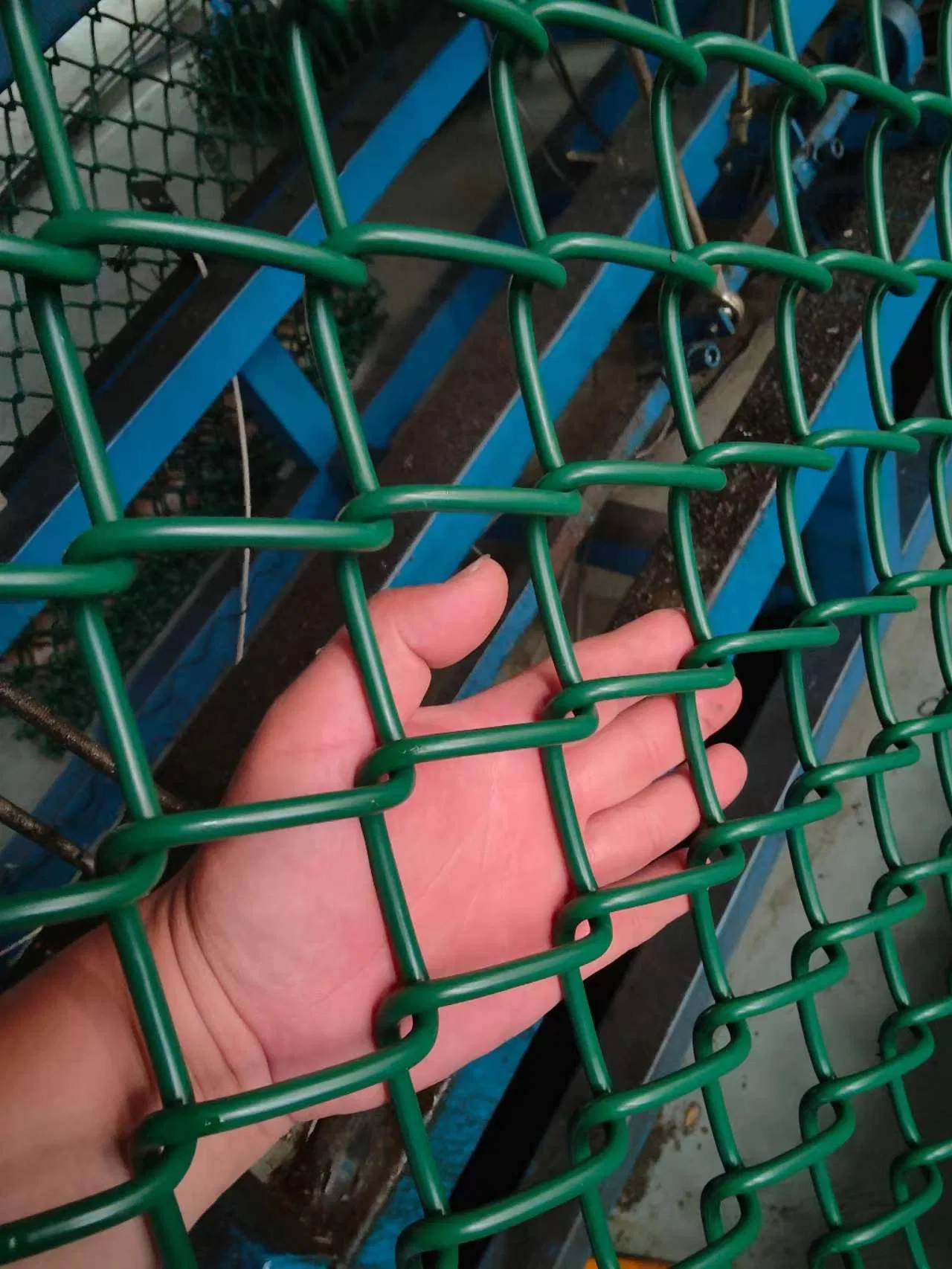 Factory Supply Chain Link Fence for Garden, Airport, Football