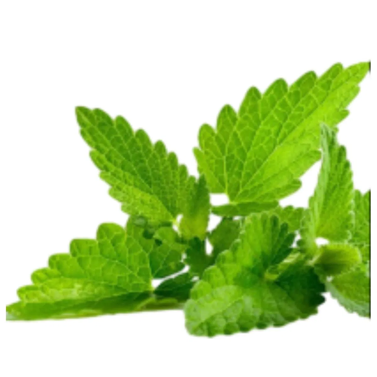 New Portable Travel Refreshing Breath Deeply Cleanses Eliminates Bad Breath Whitening Toothpaste