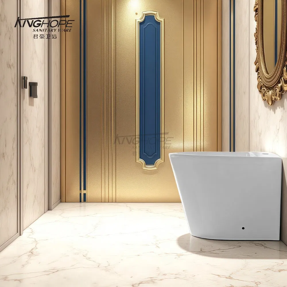 Floor-Mounted Bathroom Furniture Ceramic Powerful Cleaning Customization Available WC Bidet