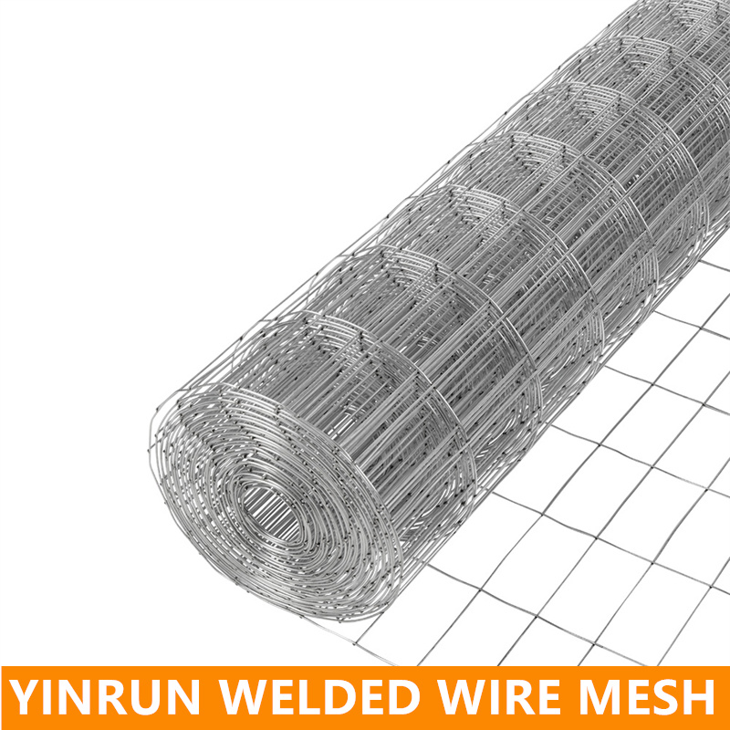 Best Seller Multipurpose 1/4'' Hot Dipped Galvanized Welded Wire Mesh