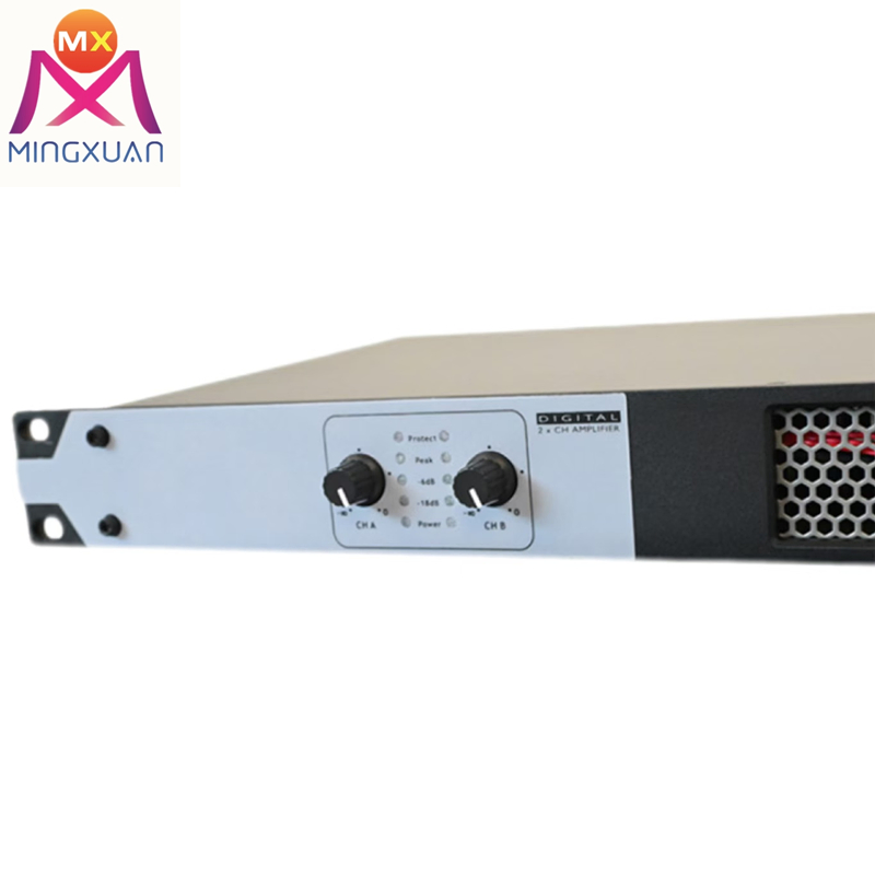 Professional Two-Channel Pure Rear Stage High-Power Amplifier 1u Digital