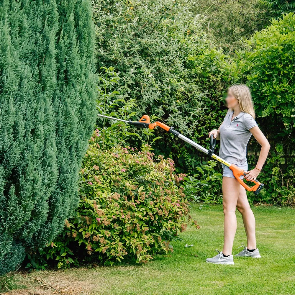 Dual Action Head Design Lithium-Ion Telescopic Hedge Cutter Trimmer-Lh C41A