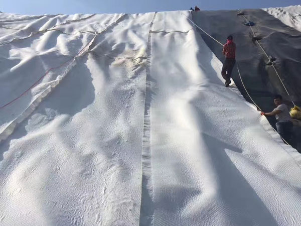 Plastic Trellis/HDPE Mesh/Geonet Drainage Network China Manufacturer