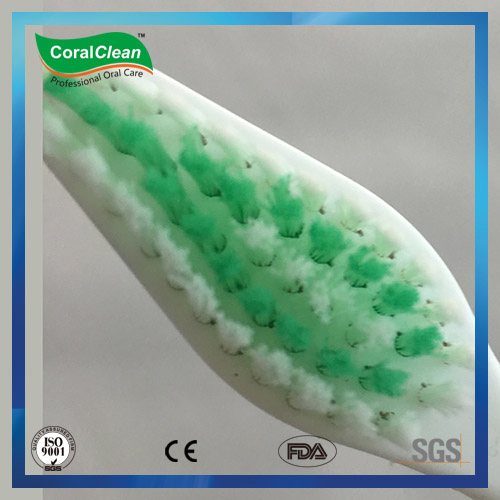 Simple Design Adult Toothbrush with Nylon Filamens