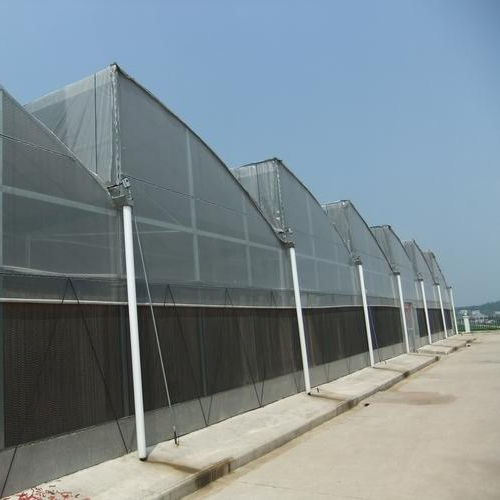 150mic -250 Mic Zigzag Flower Vegetables Warm Agro Multi Span Farden Greenhouses
