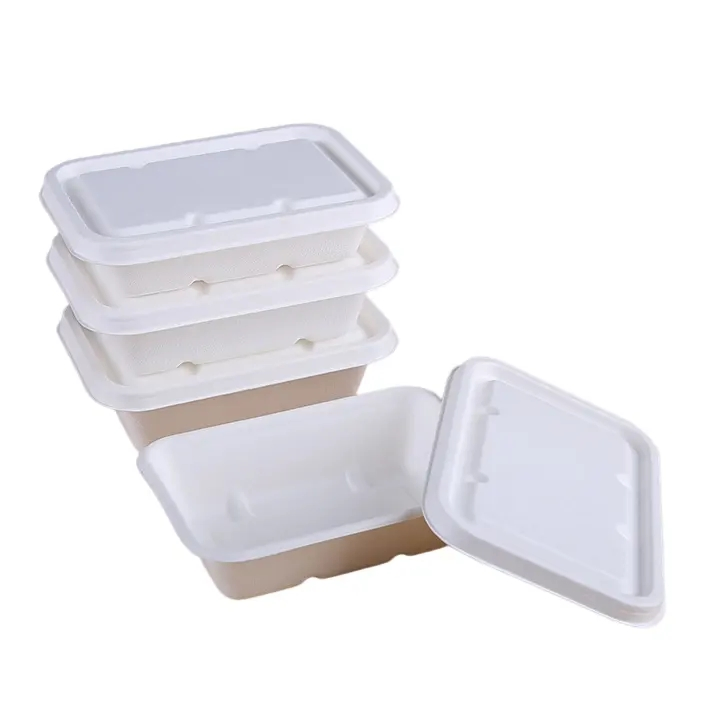 Eco Disposable Take Away Plate Sugarcane Bagasse Tray Plates Container