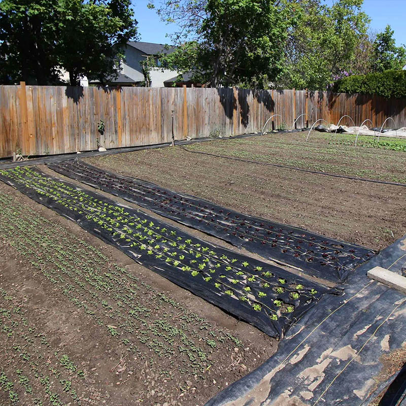 Hot Sale Weed Barrier for Agricultural Planting Landscape Fabric Weed Barrier