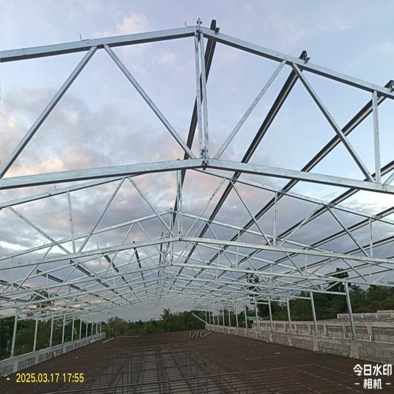 High Strength Steel Structure for Poultry House with Fast Installation and Long Life Broiler Flat Rearing/ Layer Cage/Hens of The Farms Livestock Equipment