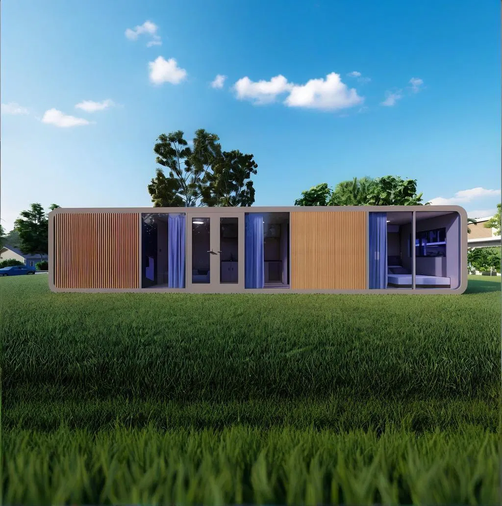 Apple Capsule Cabin Custom Interior Advanced Type