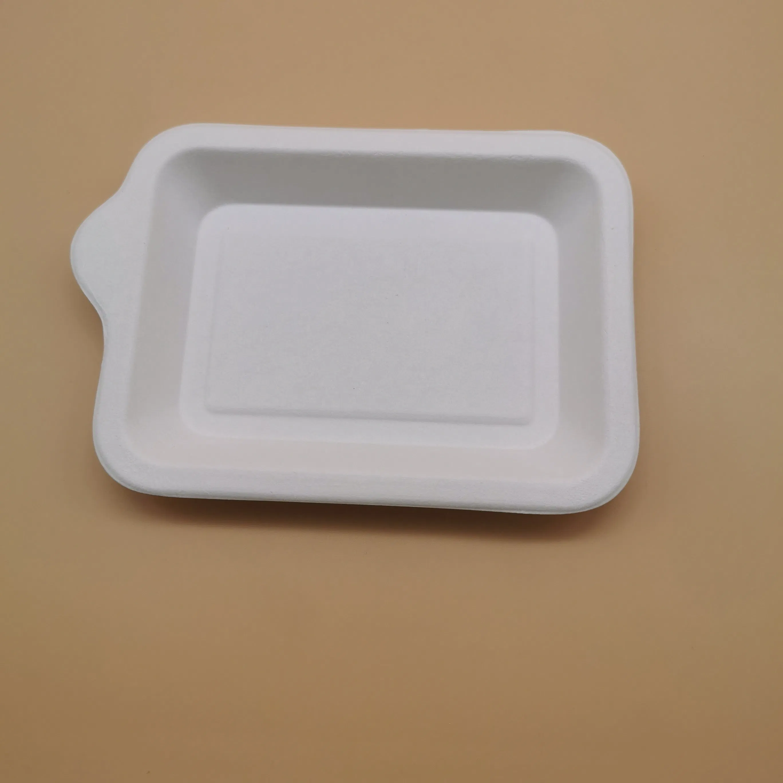 Wholesale Biodegradable Cake Plates Sugarcane Bagasse Dessert Dish Disposable Baby Tray