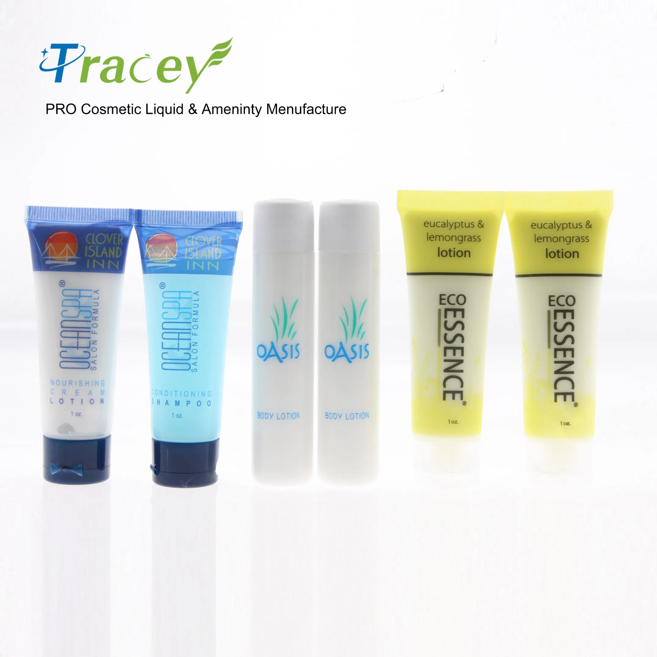 Custom Luxury Hotel Amenities Travel Disposable Toothbrush Toothpaste Set Dental Kit Hotel Supply