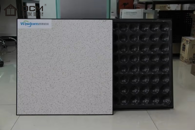 Ocm Anti Static Raised Floor with HPL/PVC/ Vinyl Covering for Data Center and Computer Room 600*600