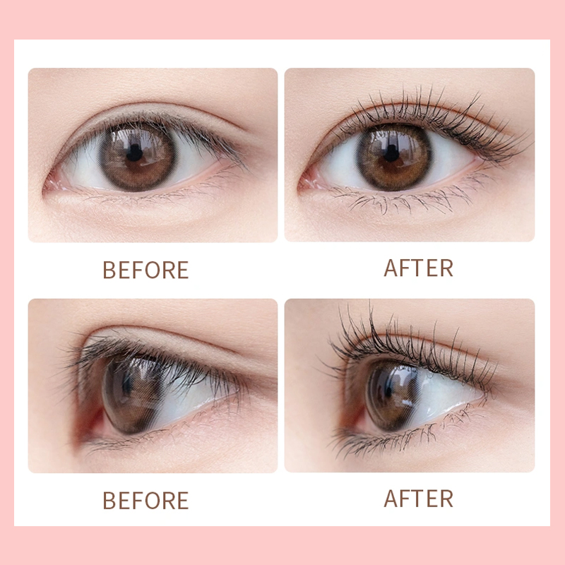 Ditong Dense Bristle Thorough Lash Curling Lightweight Natural Underlashes