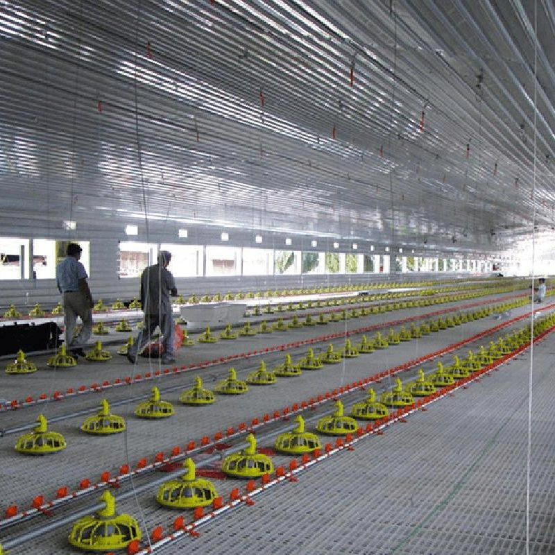 Commerical Shed Prefab Prefabricated Chicken Steel Structure Farm House Poultry Farm Equipment