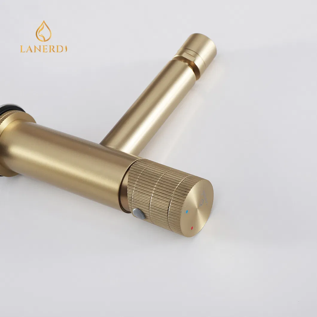 Смеситель для биде с вращающимся изливом, нержавеющая сталь