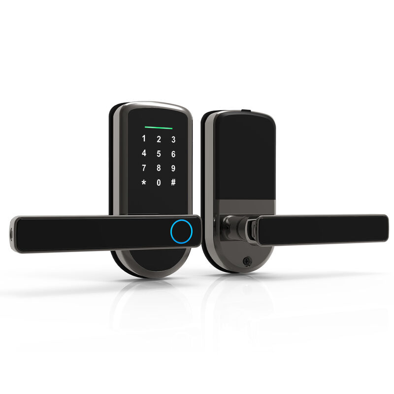 Digital Tuya Inteligentes WiFi Keys Apartment Fingerprint Smart Door Lock