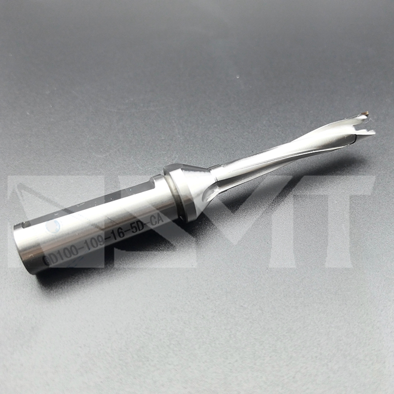 Drilling-Head Exchangeable Drills-Drill Body-Qd100-109-16-5D-Ca