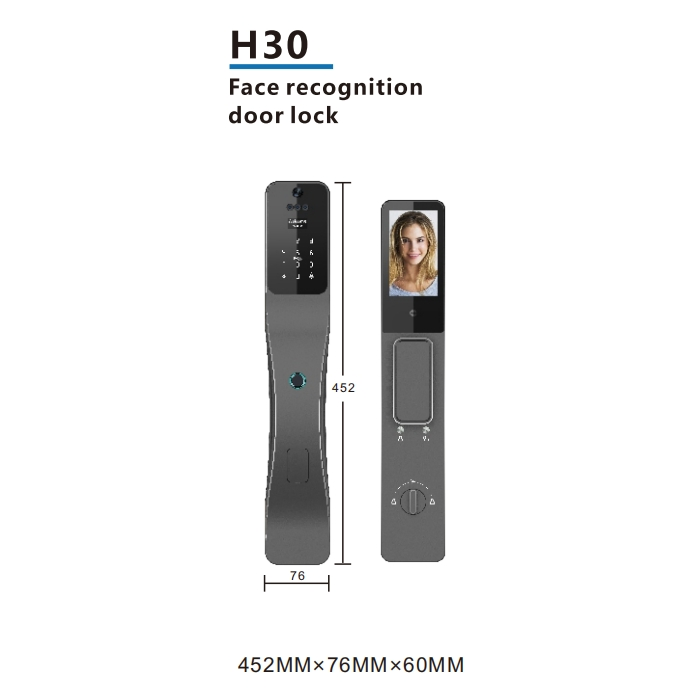 Advanced Smart Lock with Keyless Entry and Remote Access