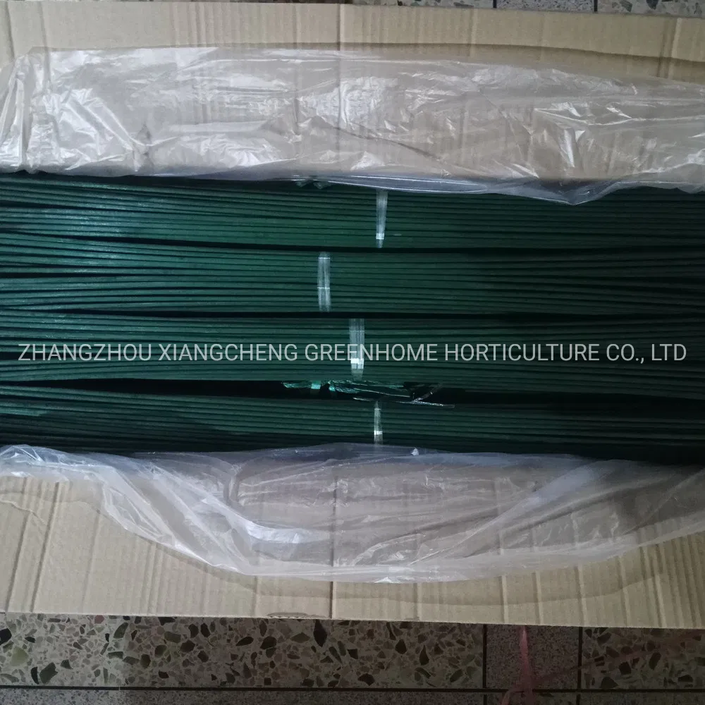Dye Color Bamboo Flower Stick for Orchid