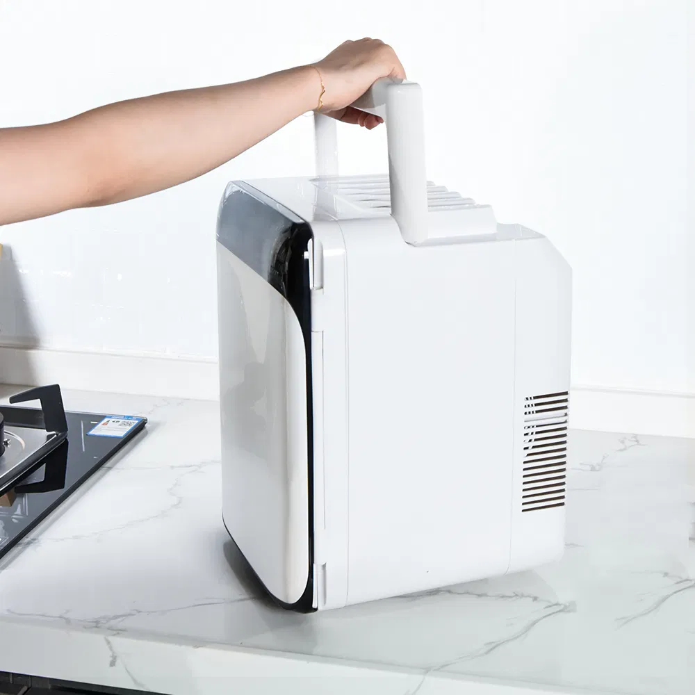 OEM 10L Beauty Small Refrigerators for Home and Car Gbf-10L1