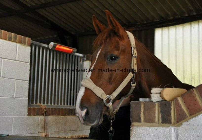 Equestrian Heaters Infrared Heaters Patio Heaters Outdoor Heaters with Remote Control