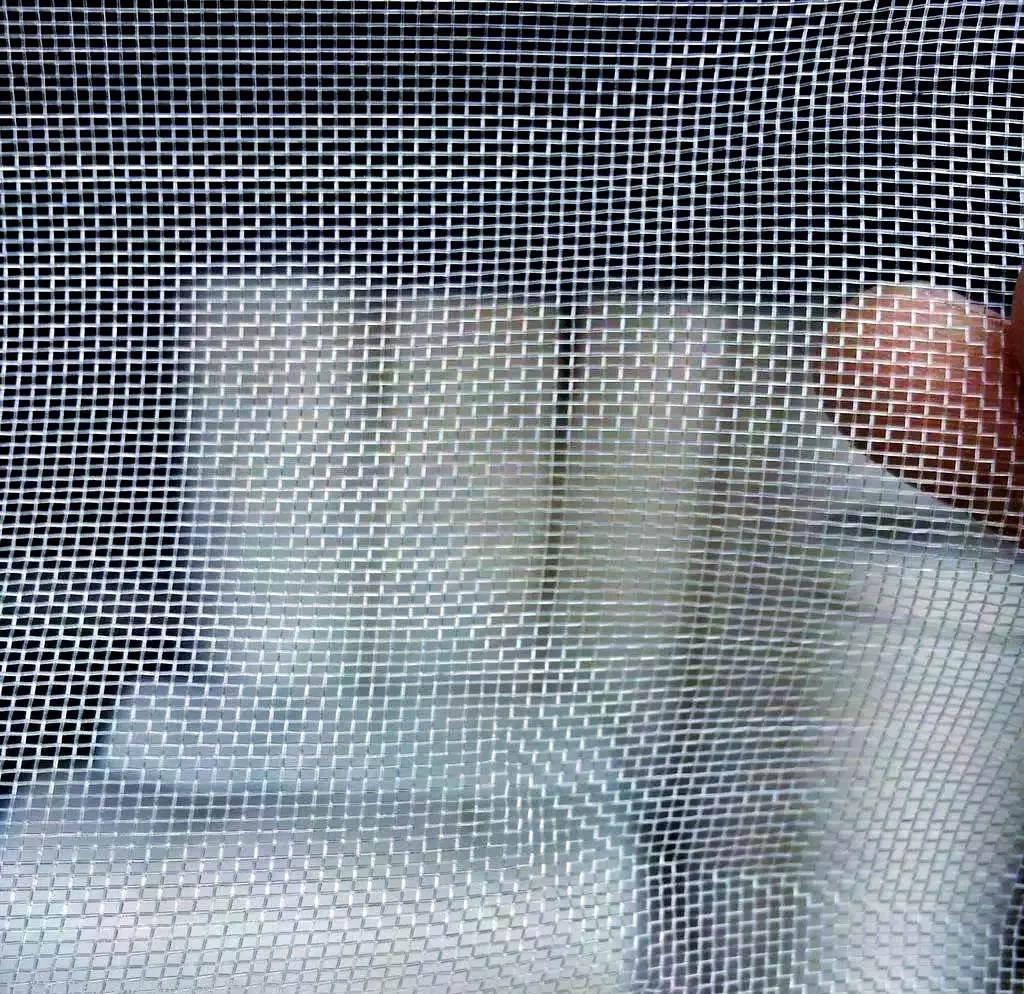 Agricultural HDPE PE Nylon Plastic Vegetable Protection Netting Proof Net