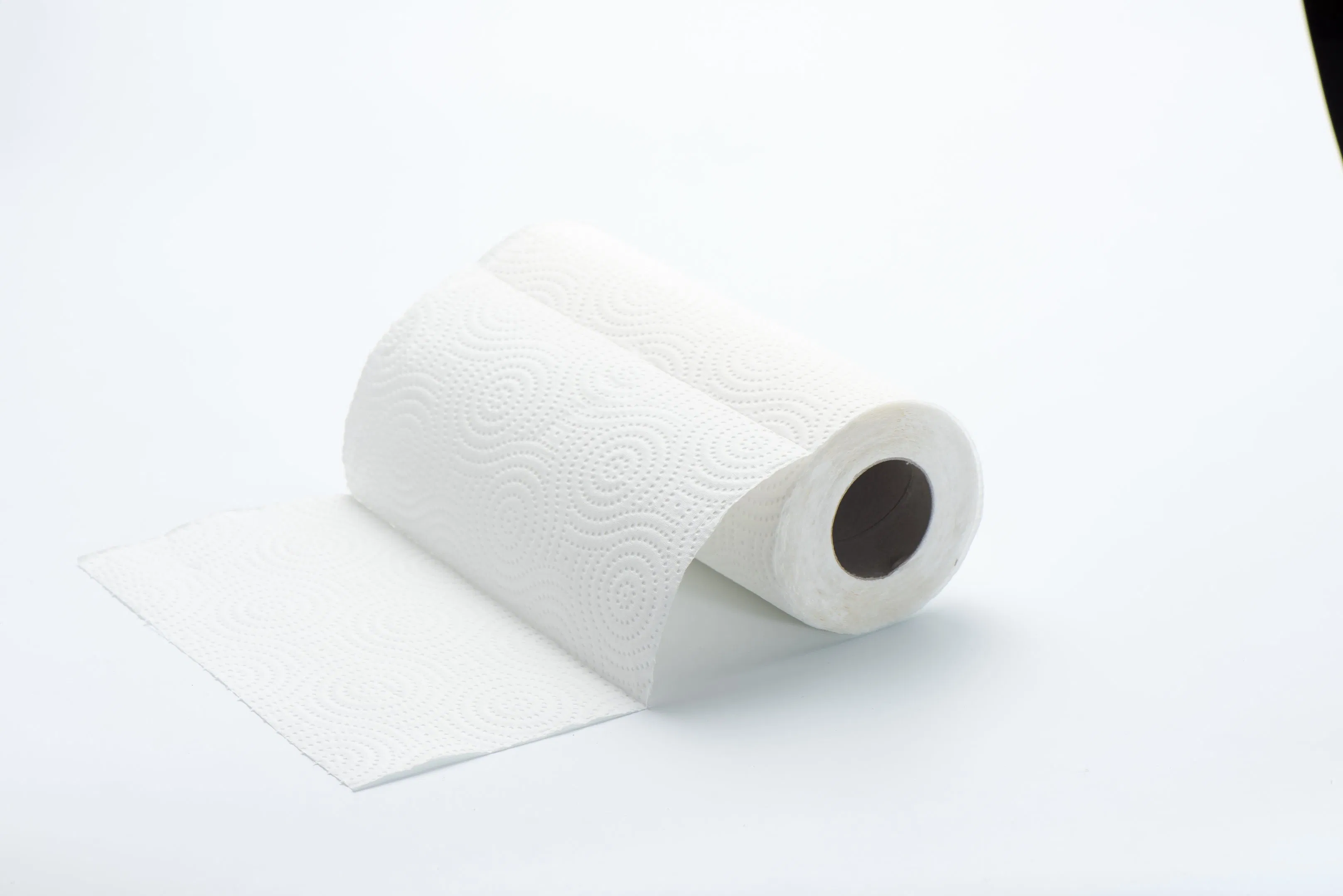 Very Thick Big Sanitary Kitchen Paper Towel