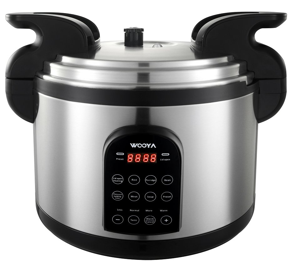 Premium Stainless Steel Electric Pressure Cooker for Fast Cooking