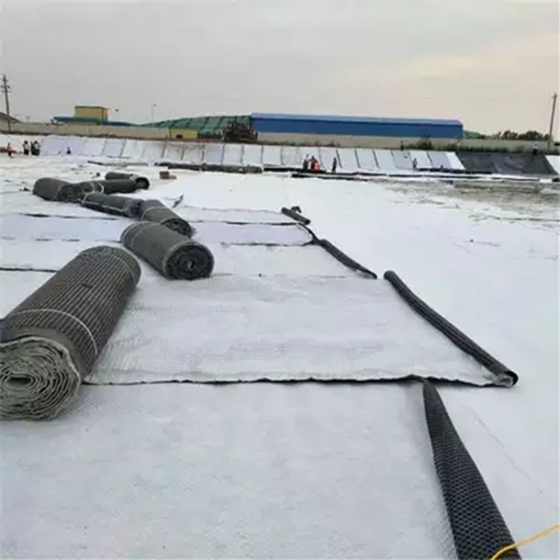 Drainage Geonet 3D Composite Drainage Network for Landfill