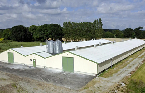 Poultry Farm Business Plan for Chicken House