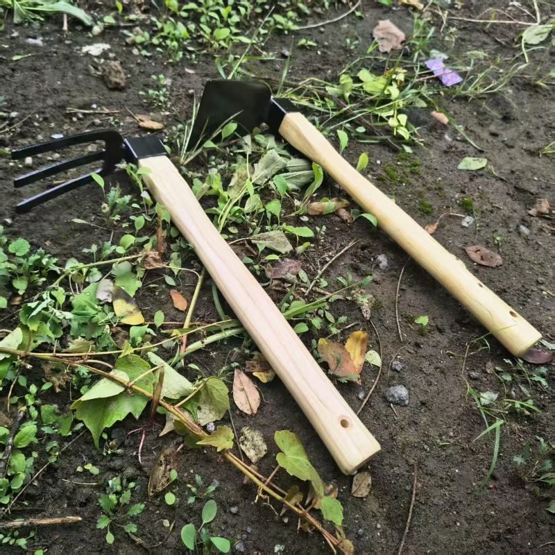 Factory Hot Sale Multi-Functional Carbon Steel Hoe-Fork for Agricultural