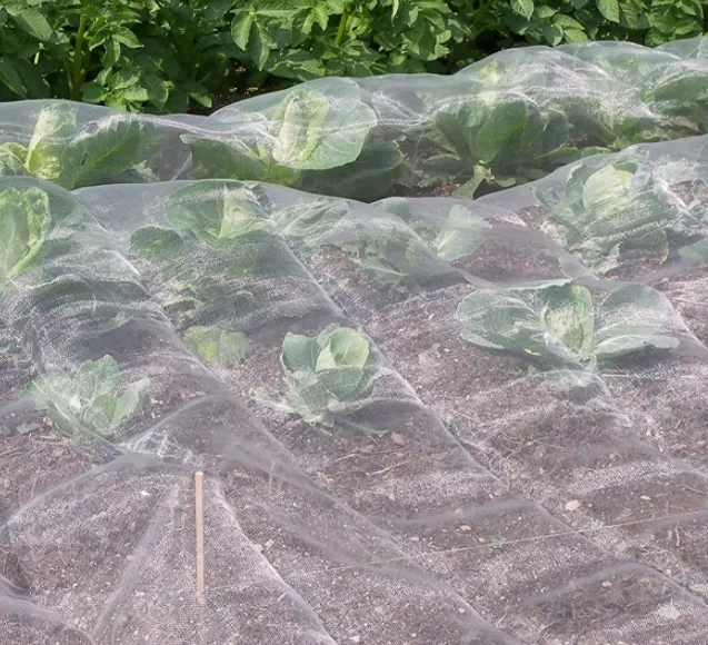 Manufacture Customized Sun-Shade Plastic Shade Net Nets with ISO