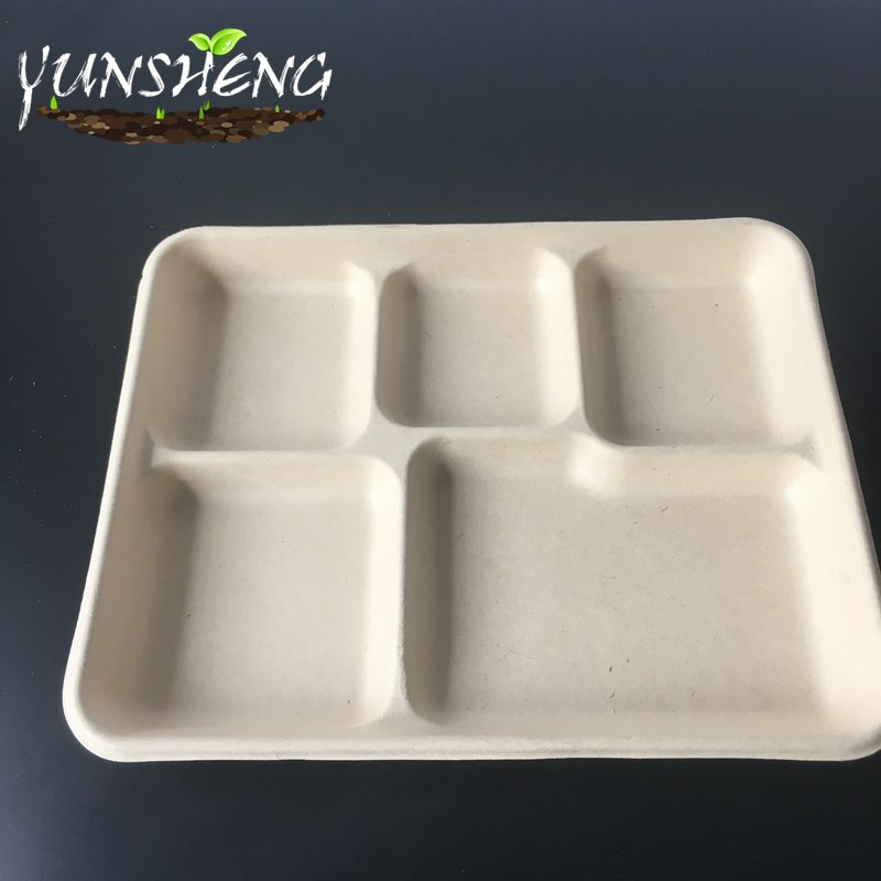 Disposable Biodegradable Food Paper Trays, Five Compartments