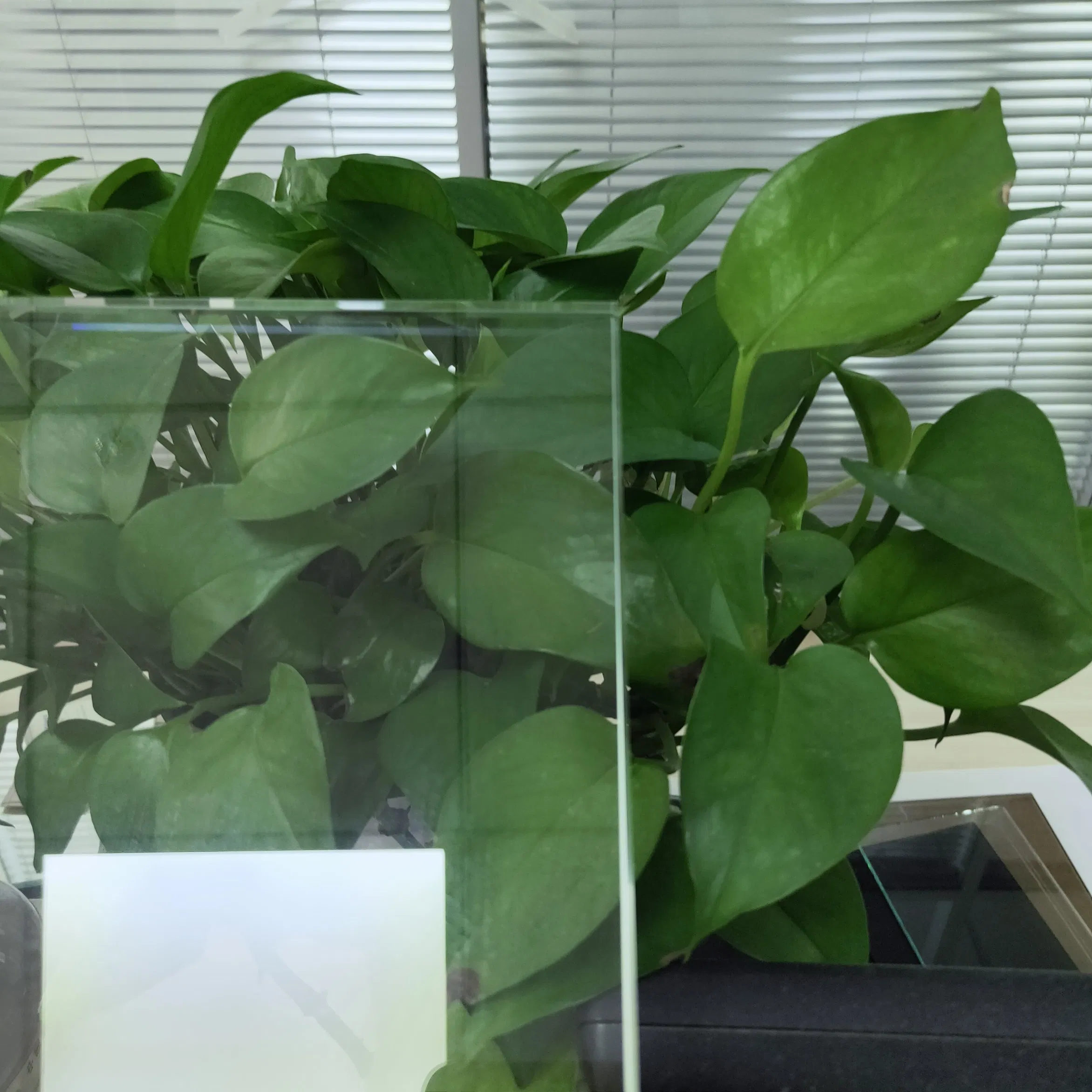 6mm Bronze Curved Tempered Glass for Building Glass