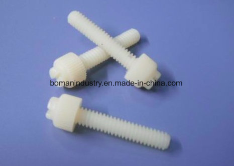 PA66 Nylon Plastic Products Rubber Plastic Seals PVDF Products in Mould