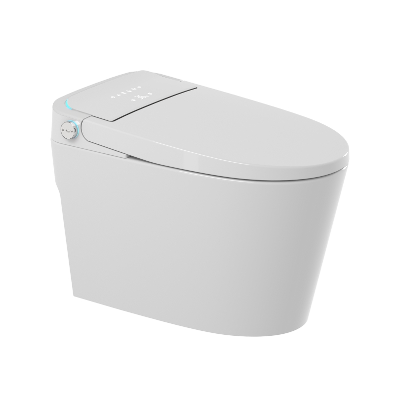 Fashionable Smart Toilet Ceramic Remote Control Intelligent Toilet Seat